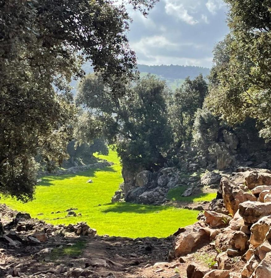 Tazekka Parc Hotel Taza Bagian luar foto